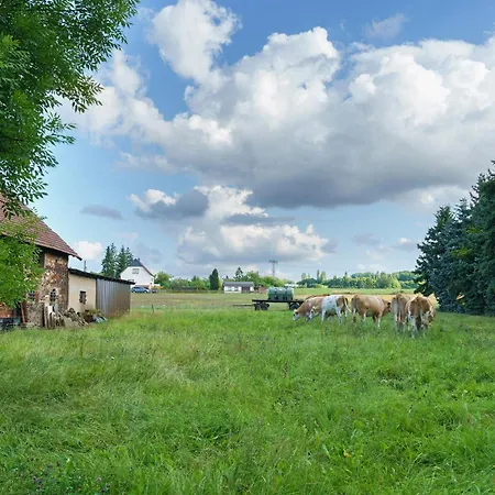 Gutshof Lesch - 2 * Chemnitz