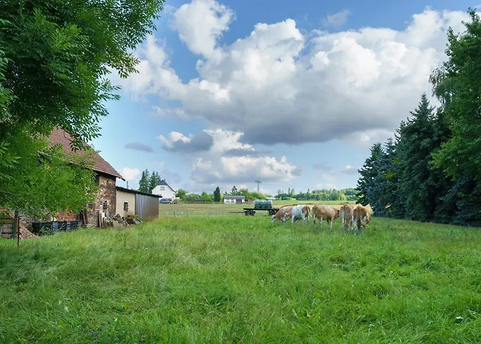 Gutshof Lesch - 2 * شيمنيتز